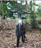 26” Folding Electric Mountain Bike – 250W, Dual Suspension