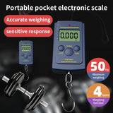 1PC Multifunctional Mini 40kg/10g Electronic Hanging Fishing Luggage Balanca Portable Digital Handy Pocket Weight Hook Scale