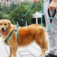 Reflective Dog Belt Pet Reflective Silk Traction Rope Reflective Nylon Suture at Night Dog Walking Rope Jack's Clearance
