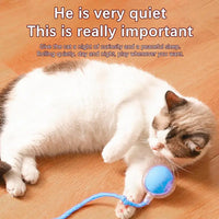 Electric Interactive Cat Toys Ball Auto Rolling Ball Toys For Cats Pets Smart Automatic Teaser USB Rechargeable R9M3