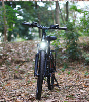 26” Folding Electric Mountain Bike – 250W, Dual Suspension