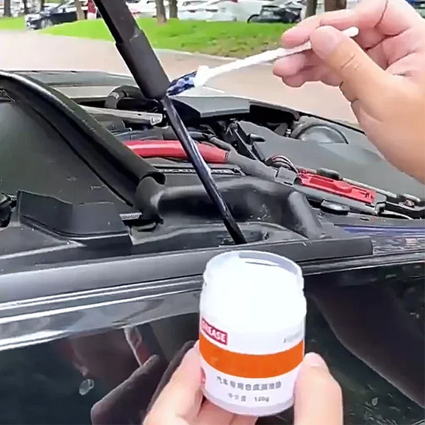 Car Door & Sunroof Lubricant – Anti-Rust, Anti-Noise Maintenance Gel (100g)