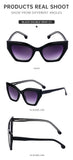 Sexy Cat Eye Sunglasses Women Men Big Frame 2024 Luxury Brand Vintage Fashion Cateye Sun Glasses Ladies Leopard Shades Eyewear