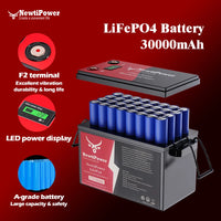 Complete 2000W Solar Power Kit – 110V/220V Inverter, LiFePO4 Battery
