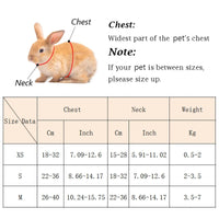 Cute Angel Wing Pet Rabbit Harness and Leash for Cats Rabbits Personalized Rabbit Harnesses Bunny Accessories Hamster Clothes