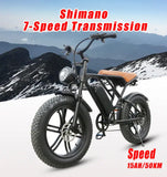 Electric Bike 20'' Fat Mountain Bike 750W Adult ebike 48V 15Ah Battery 4.0 Tire Men Electric Bicycle Snow Bike Dual Suspension