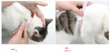 Low Price Rabbit Cat Harness and Leash Set Adjustable Nylon Harnesses for Bunny Kitten Pet Outdoor Walking Supplies Accessories