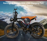 Electric Bike 20'' Fat Mountain Bike 750W Adult ebike 48V 15Ah Battery 4.0 Tire Men Electric Bicycle Snow Bike Dual Suspension