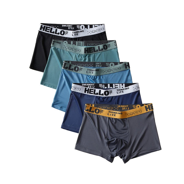 5-Pack Men’s Ice Silk Boxer Shorts – Breathable Summer Underwear with U-Convex Design