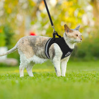 Breathable Cat Harness And Leash Escape Proof Pet Clothes Kitten Puppy Dogs Vest Adjustable Easy Control Reflective Cat Harness Jack's Clearance