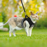 Breathable Cat Harness And Leash Escape Proof Pet Clothes Kitten Puppy Dogs Vest Adjustable Easy Control Reflective Cat Harness Jack's Clearance