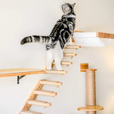 Wall-mounted Cat Hammock Bed Pet Furniture Kitten Wall Shelf Set Cat Perch Wooden Scratching Climbing Post Cat Tree House Toy Jack's Clearance