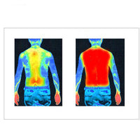 Wiinter Smart Heated Vest - Adjustable Temperature Settings for All-Day Comfort Jack's Clearance