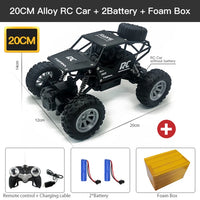 4WD RC Off-Road Buggy With Led Lights Jack's Clearance