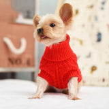 Dog Winter Clothes Knitted Pet Clothes For Small Medium Dogs Jack's Clearance