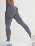 Seamless High Waisted Leggings - Jack's Clearance AU Jack's Clearance