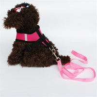Cat Dog Adjustable Harness Vest Polyester Mesh Jack's Clearance