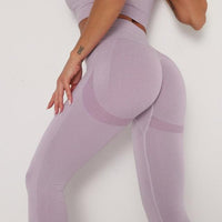High Waist Seamless Leggings Push Up  Seamless Leggings Jack's Clearance
