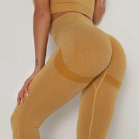 High Waist Seamless Leggings Push Up  Seamless Leggings Jack's Clearance